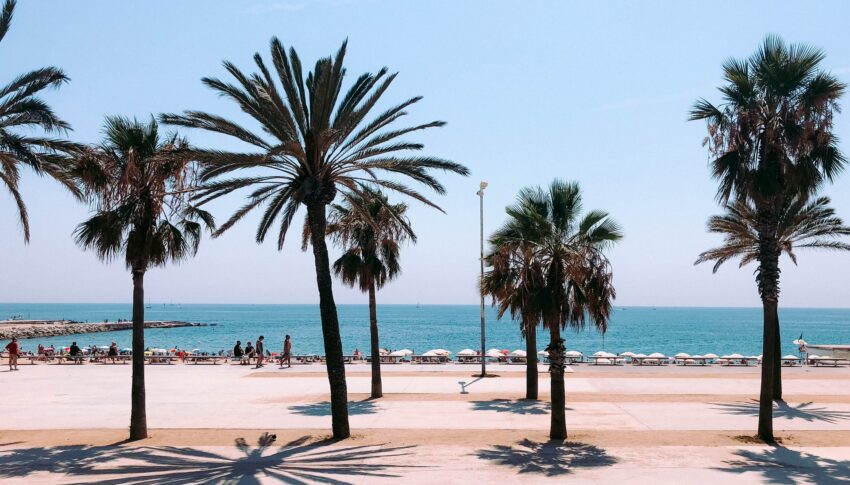 Las mejores zonas de Barcelona para disfrutar del verano