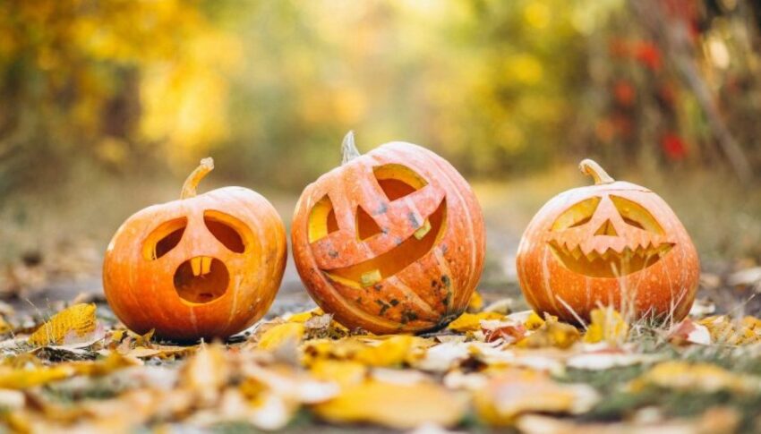 Locales de ocio nocturno esperan facturar este Halloween un 5,15% más que 2023