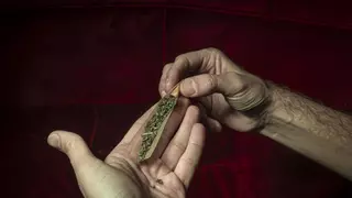 Cierra un club cannábico de Barcelona